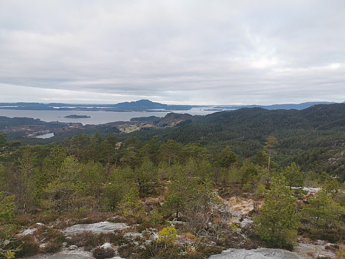 Ovenfor tregrenser og utsikt nordover.
