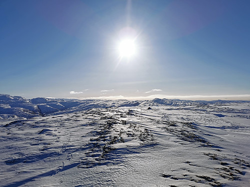 Toppen av Morkafjellet 917 moh.