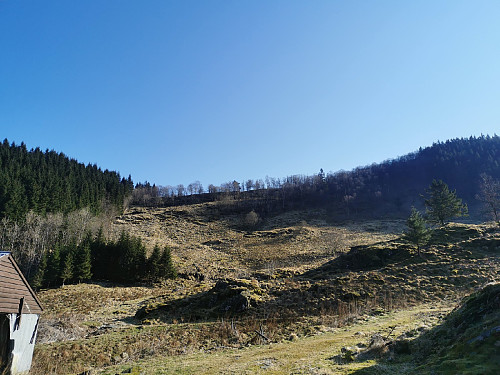 Opp fra Askelandsdalen.