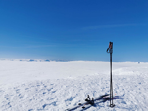 Toppen av Hardangerjøkulen, 1861 moh.