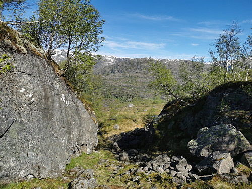 Kommet meg over til Hjortedalsbrekkane og er på vei ned mot Nystølen.