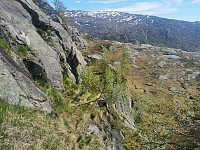 Bratt på vei ned fra Grønefjellet.