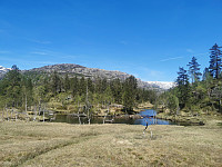 Flott langs elven nede ved Nystølen.