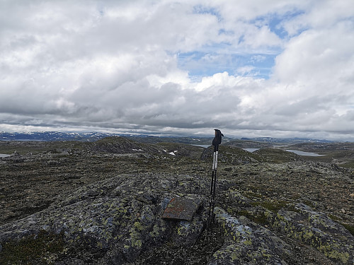 Toppen av Valgardsnutane, 1430 moh. 