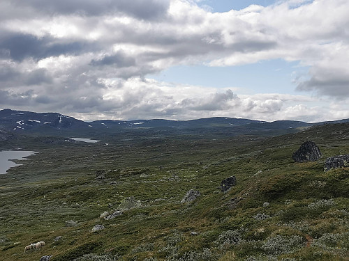 Rundet Moldnuten og endelig fått øye på Litlos (2 km lenger fremme).