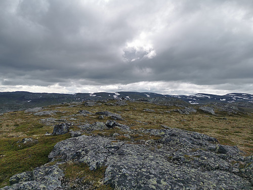 Toppen av Prestkona, 1363 moh. Litt usikker på hvor det høyeste punktet er.