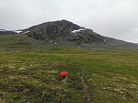 Her måtte jeg snu for å hente stavdelen.