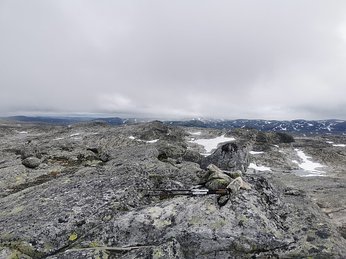 Topp punktet (1563 moh) på nuten med det spennende navnet N for Blåbergeggi.