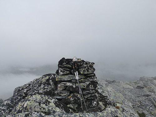 Toppen av Reinanuten, 1473 moh. Ikke mye utsikt.