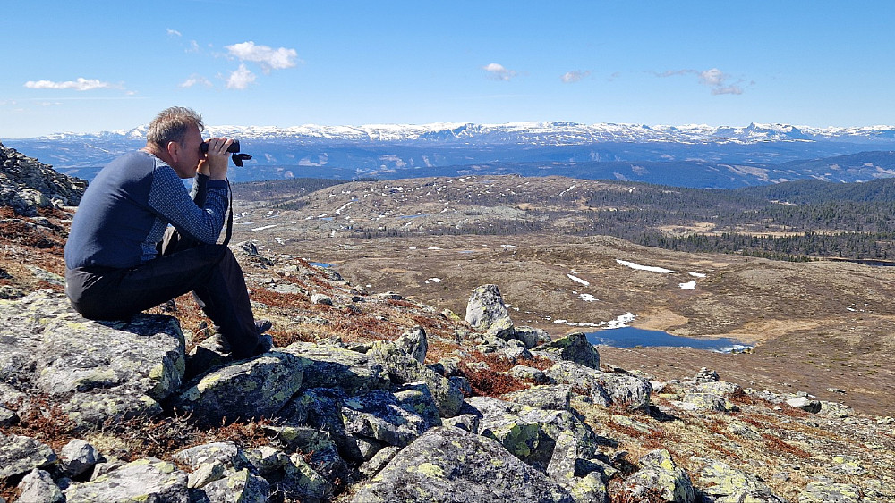 Mye å se på! Ranastongi midt i bildet, Skogshorn bak hodet til Halvor.