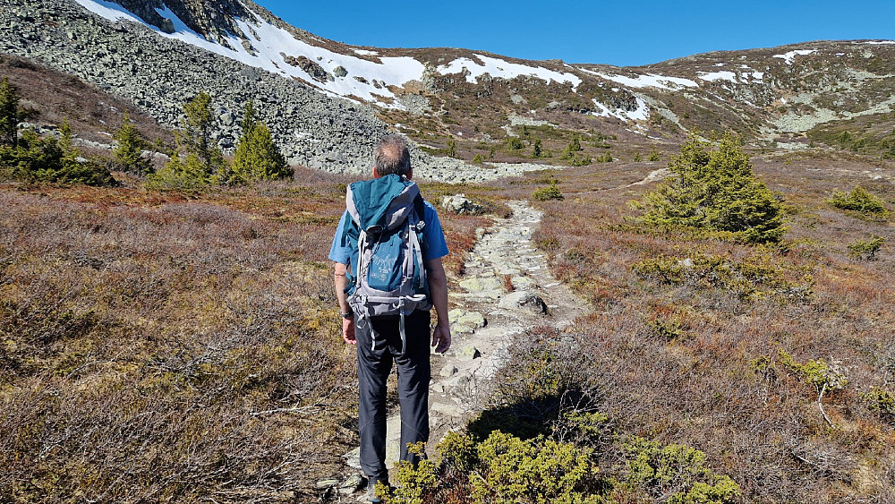 Det flate partiet etter skogen. Stien fortsetter opp bakken over hodet til Halvor, men en snøfonn tvang oss på berget til høyre.