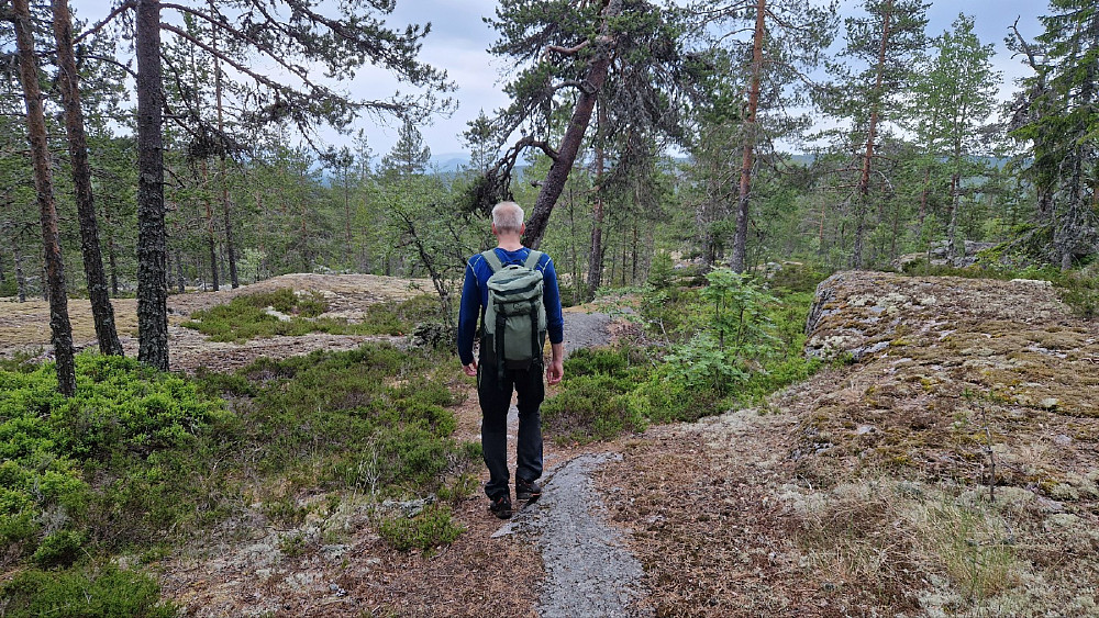 Tidvis veldig fine partier