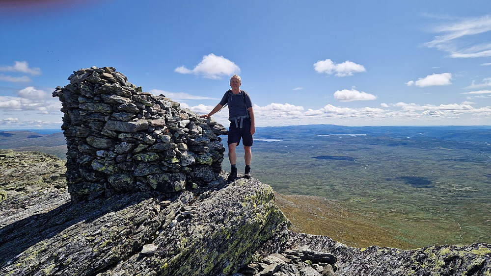 Toppvarden