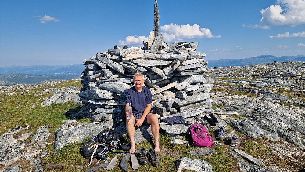 Toppvarden