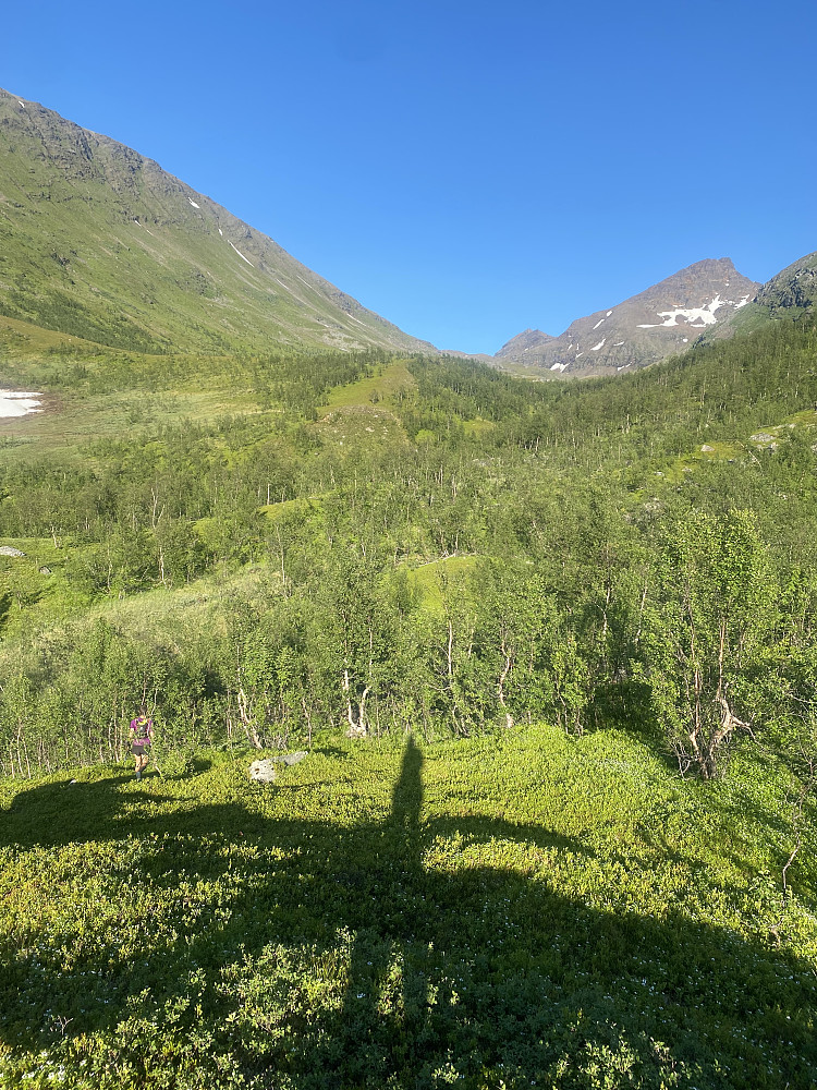 På vei opp