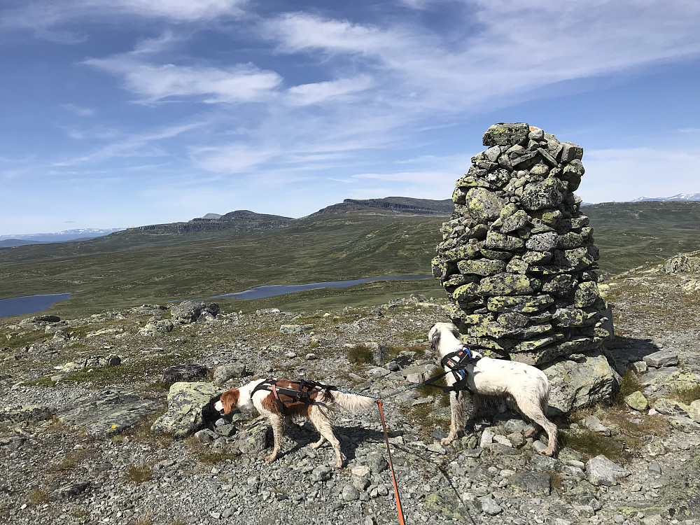 Nonstjønnkampen