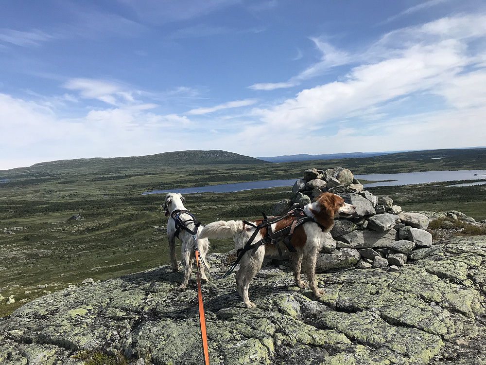 Ongsjøfjellet og Revsjøen fra Prestkampen