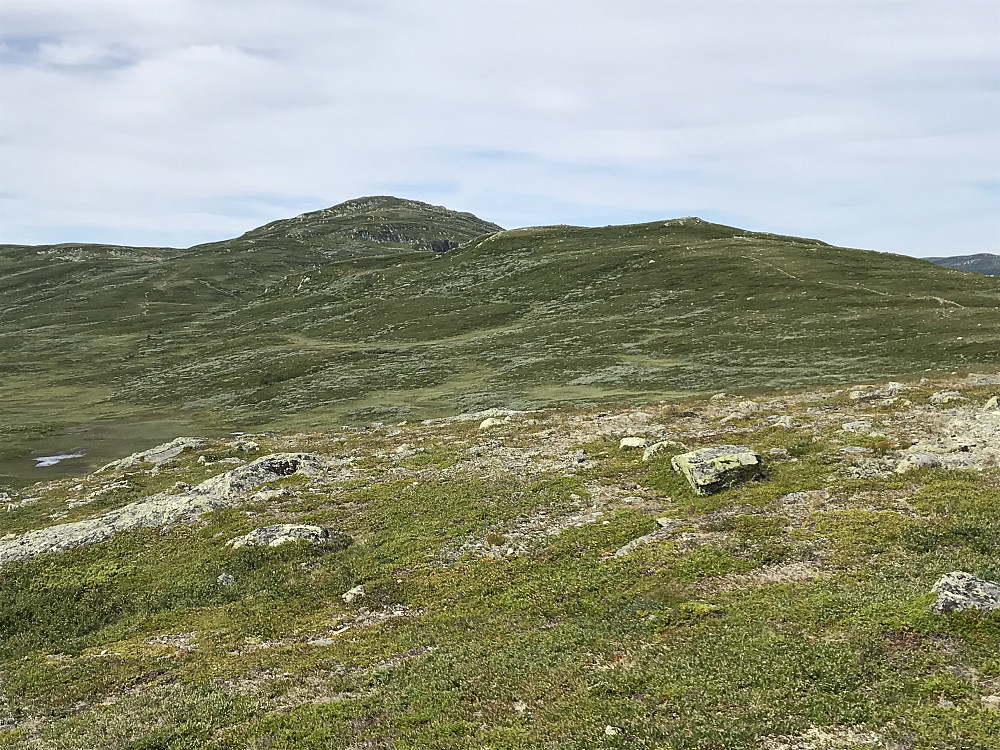 Prestkampen og Nonstjønnkampen fra Langråkahaugen
