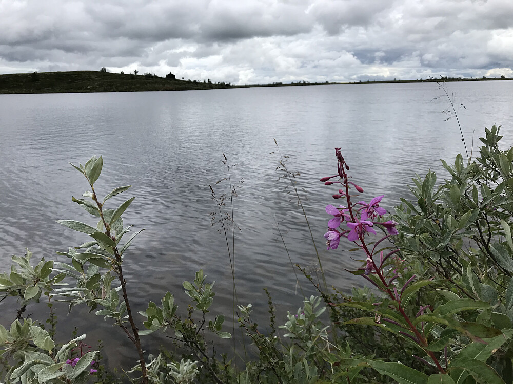 Kroktjønnet
