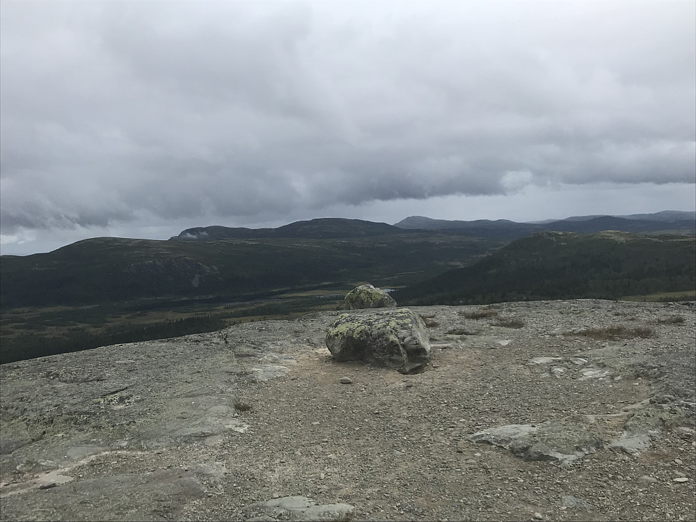 Ormtjernskampen