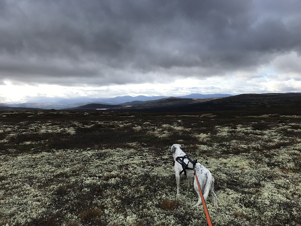Vetafjellet