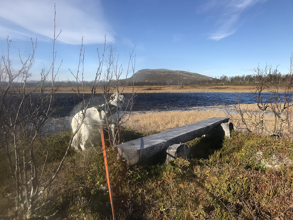 Moatjønnet