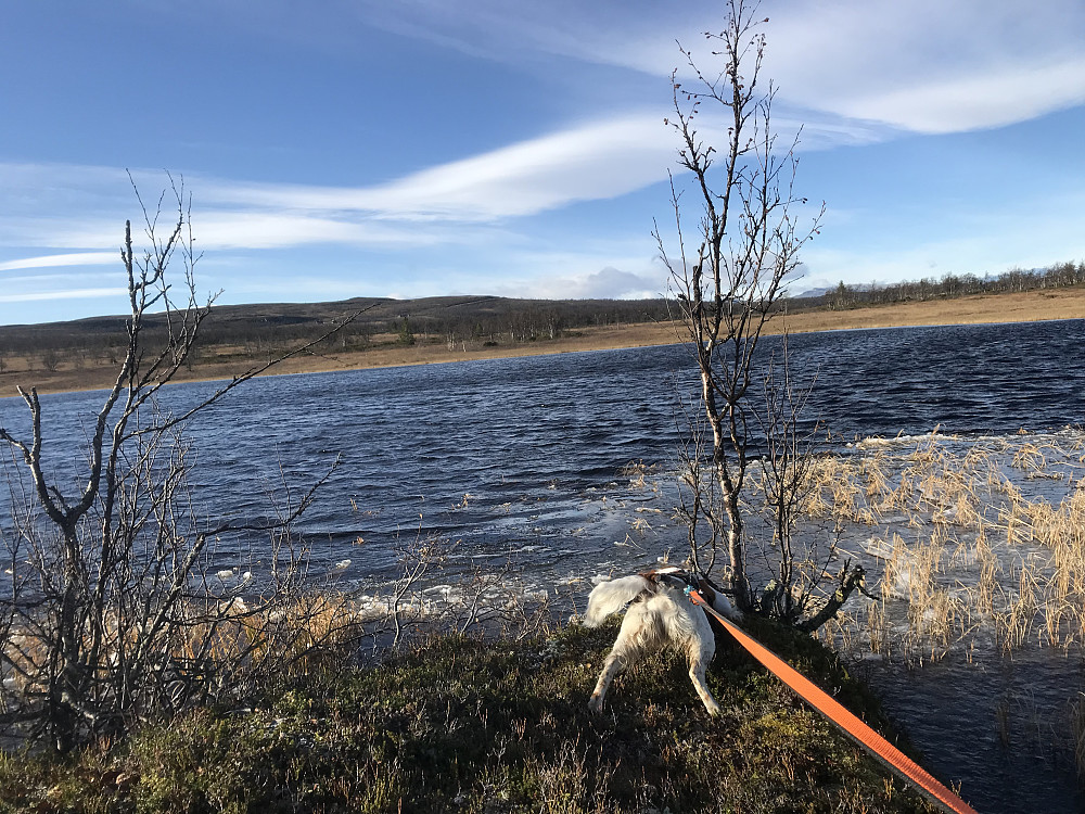 Moatønnet, Vetafjellet bak