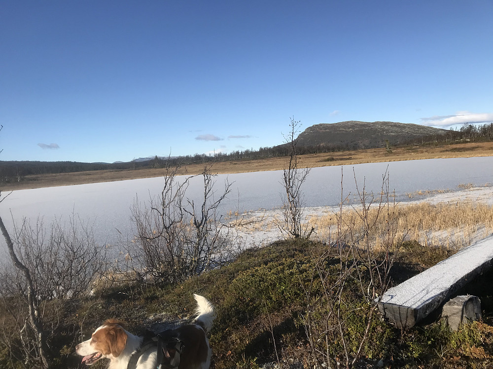Moatjønnet