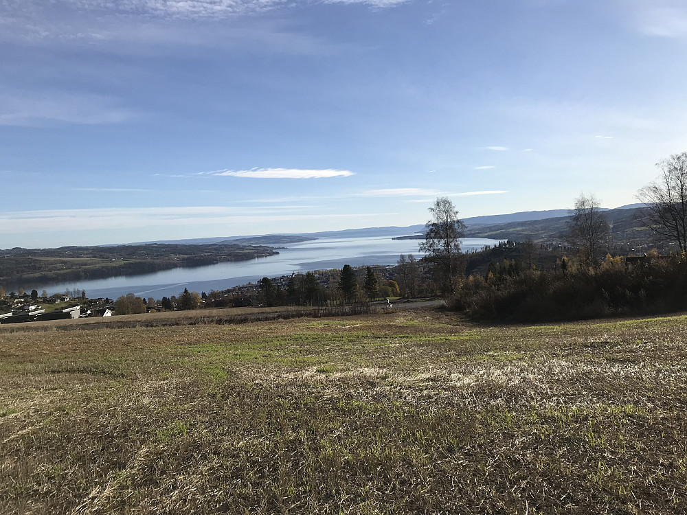 På tur hjem