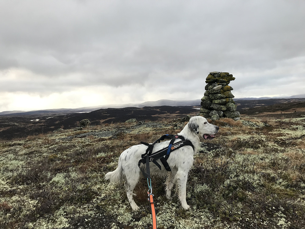 Vetafjellet sør