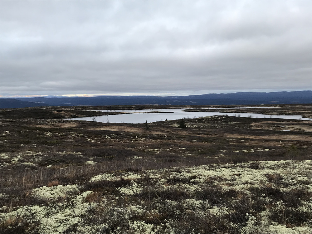 Kroktjønnet
