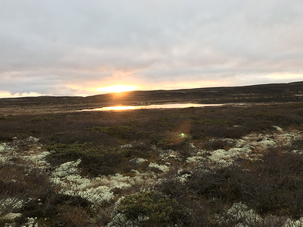 Solnedgang ved Kroktjønnet