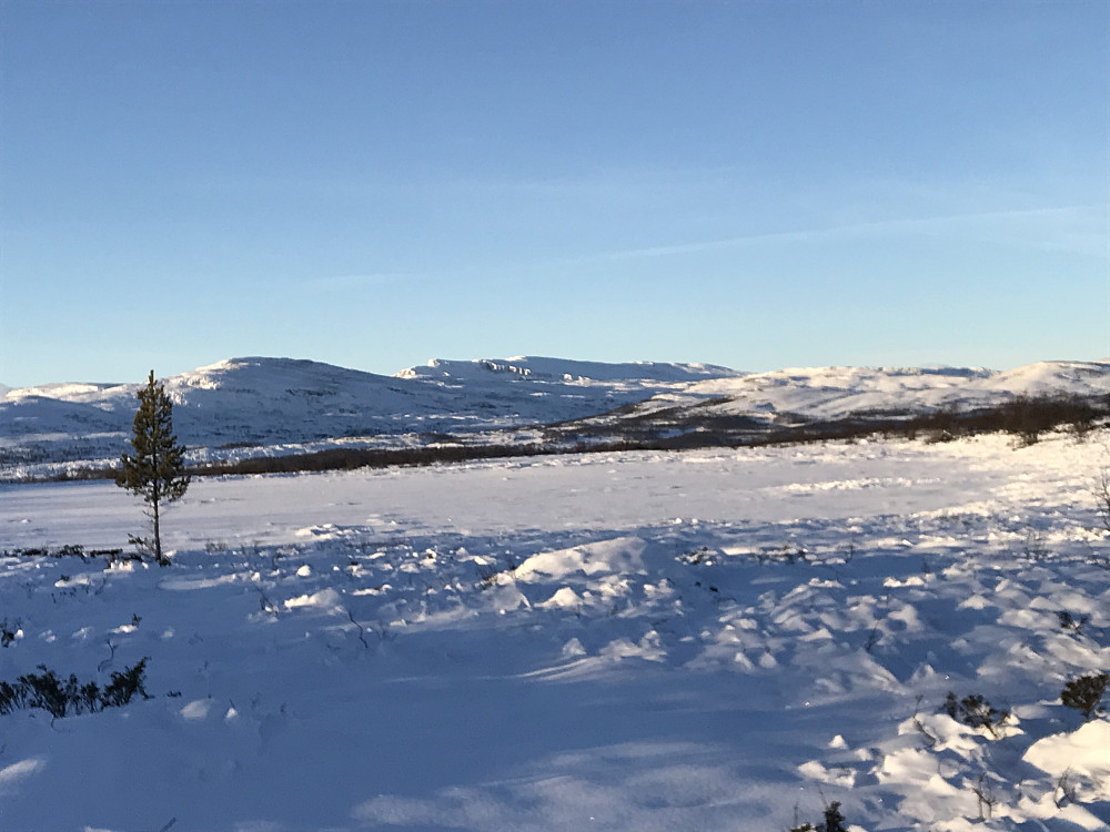 Nonstjønnkampen og N.Langsua
