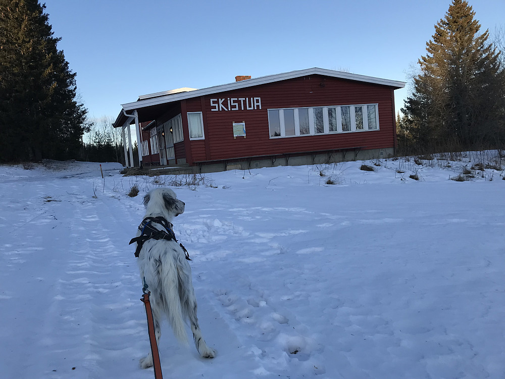 Skistua