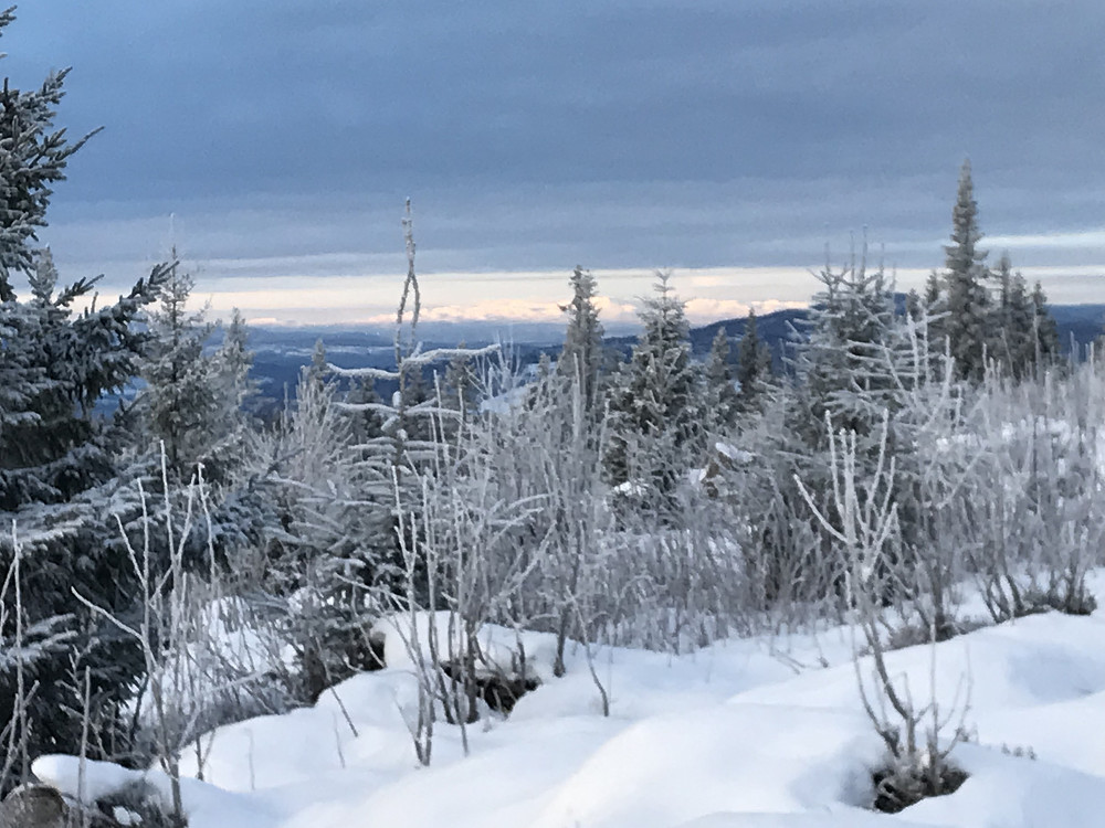 Sol på Synnfjellet i bakgrunn