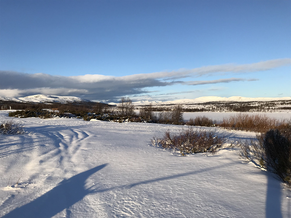Risåhøgda, Megrunnkamper og Leppkampen bak
