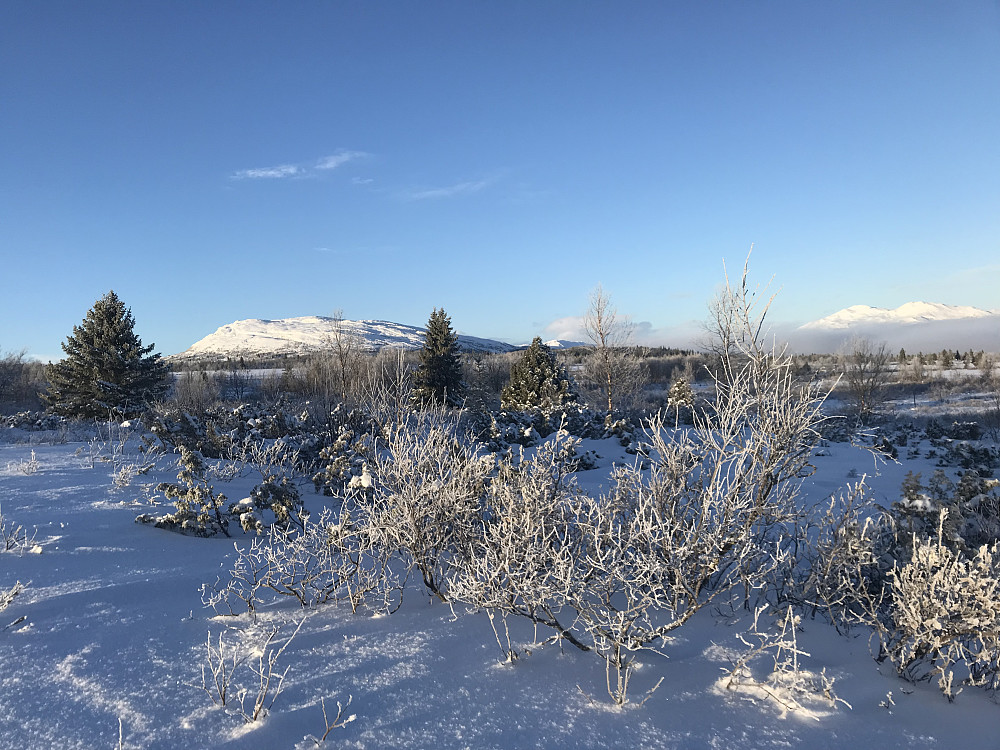 Mot Ongsjøfjellet
