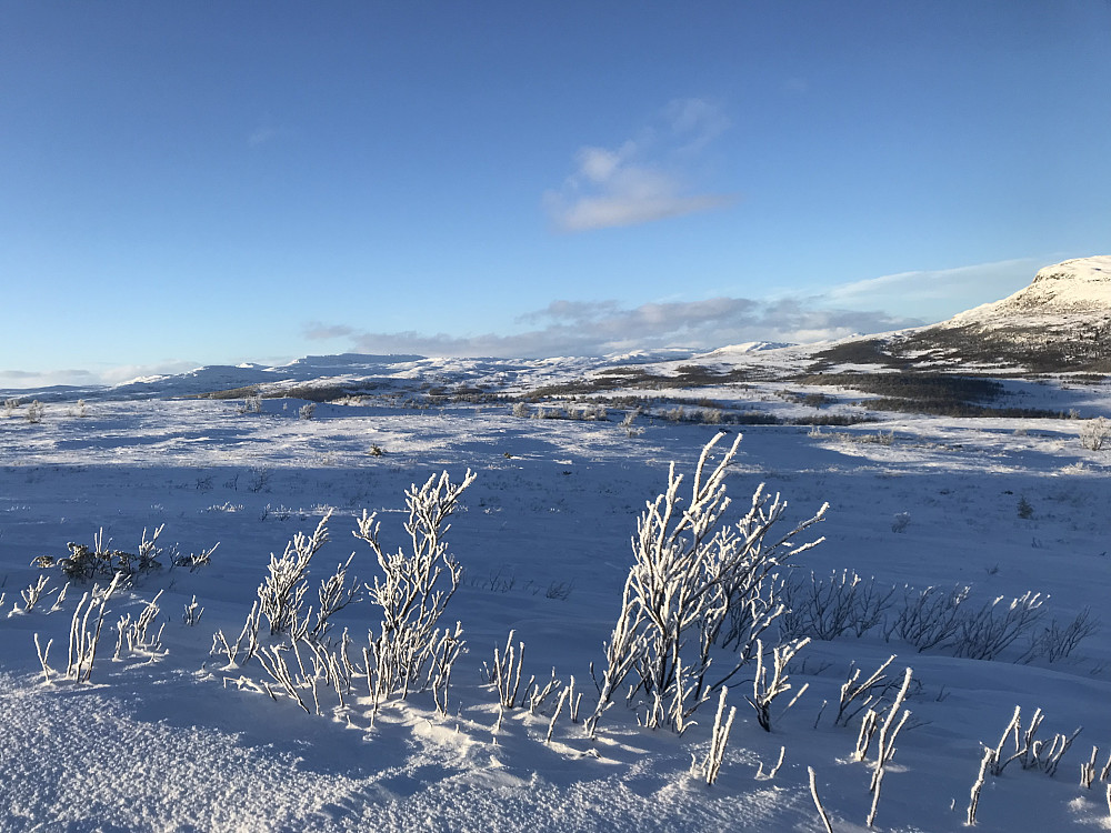 Vetafjellet