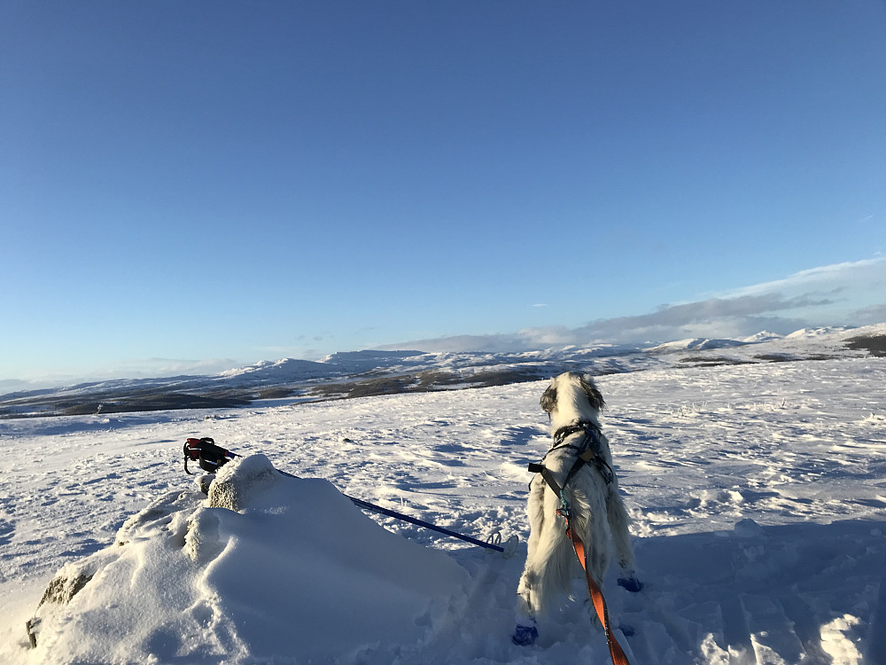 Vetafjellet