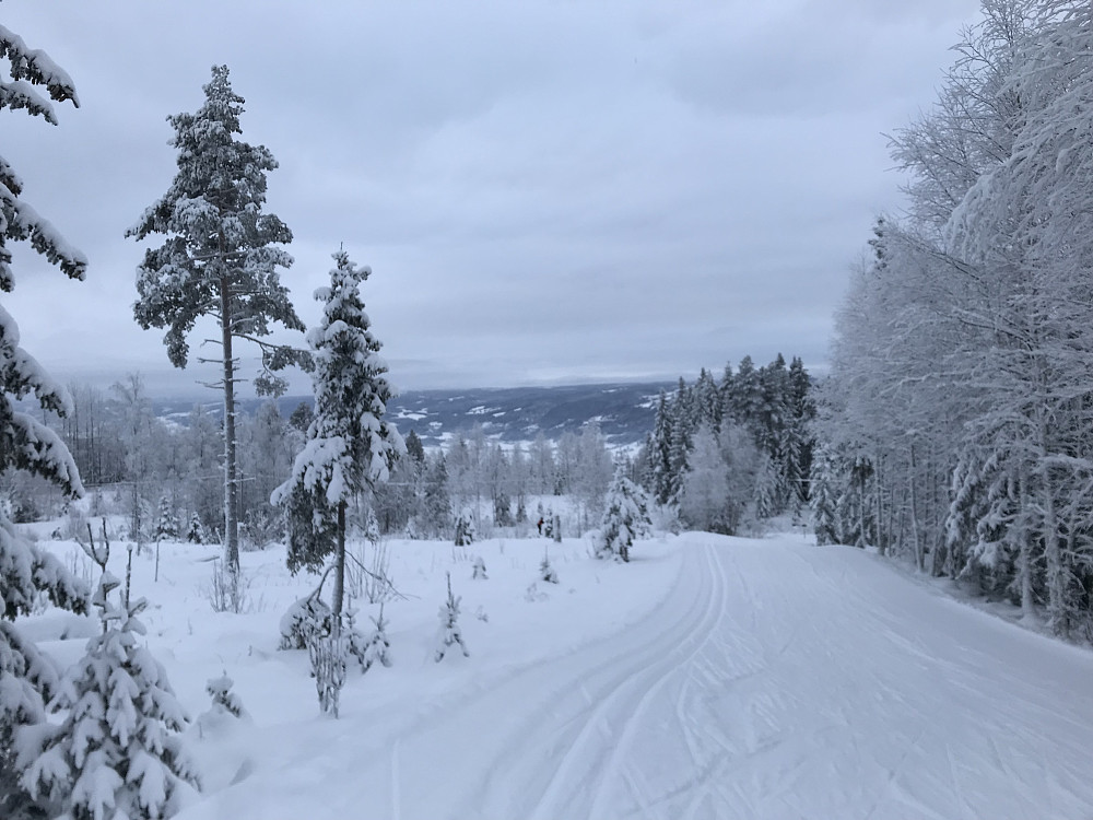 På tur opp til Kanthaugen