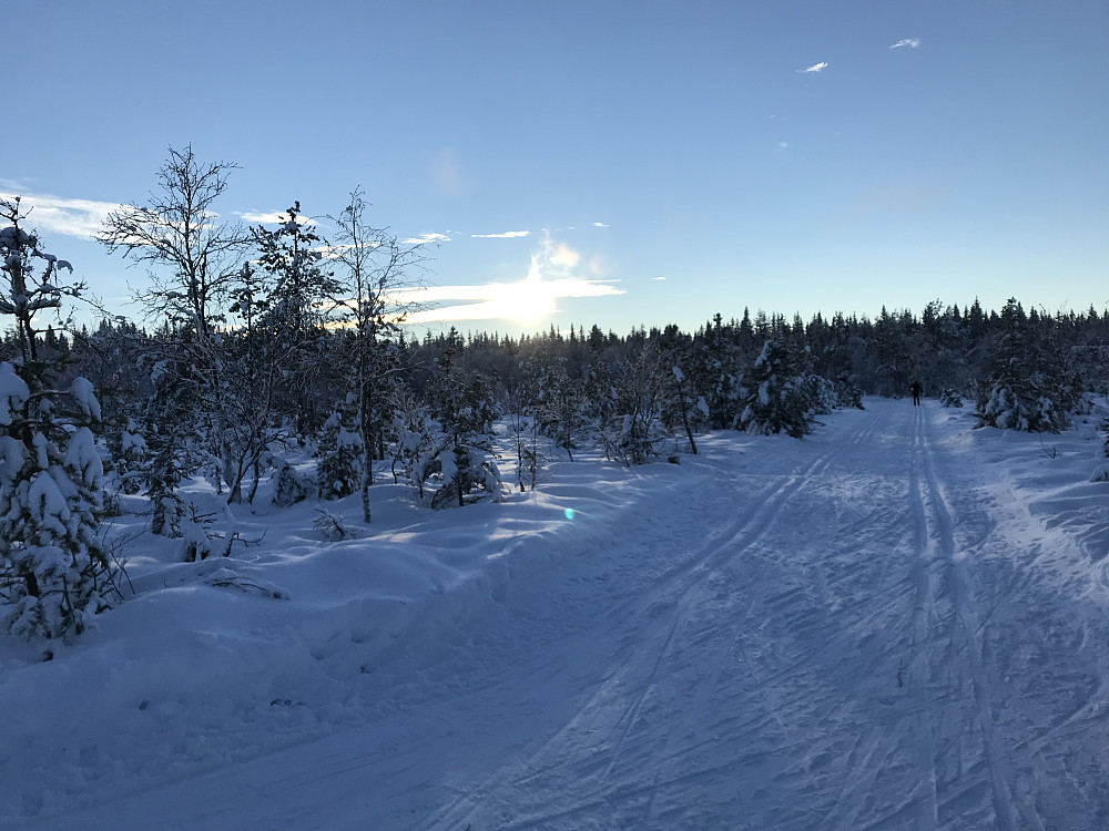 Ved løypekrysset på Rødgardsmyra