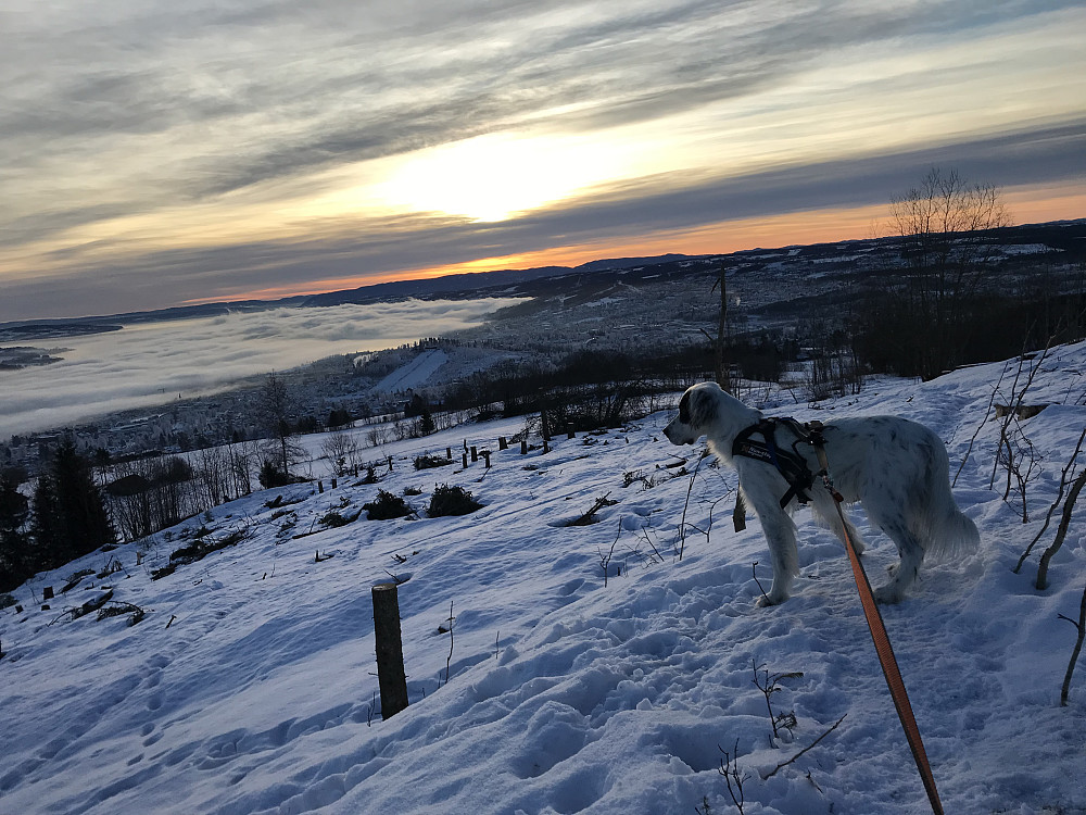 Tåke over Mjøsa i dag