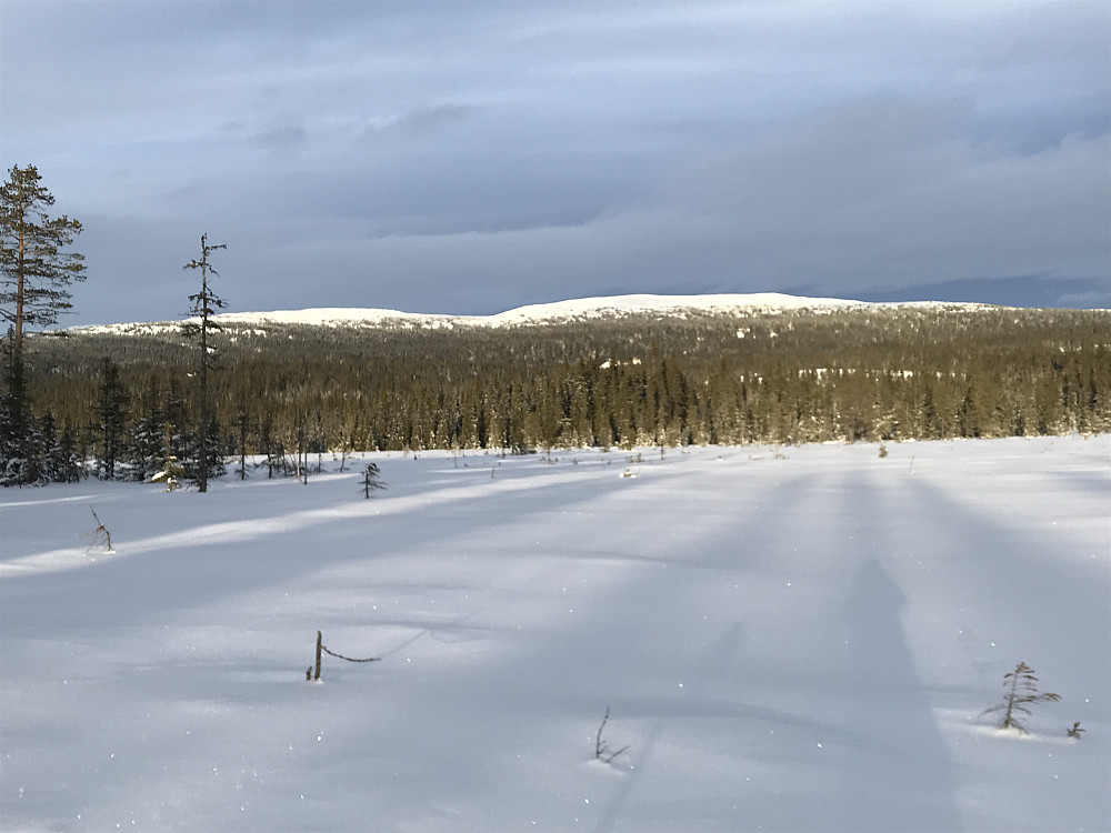 Nevelfjell