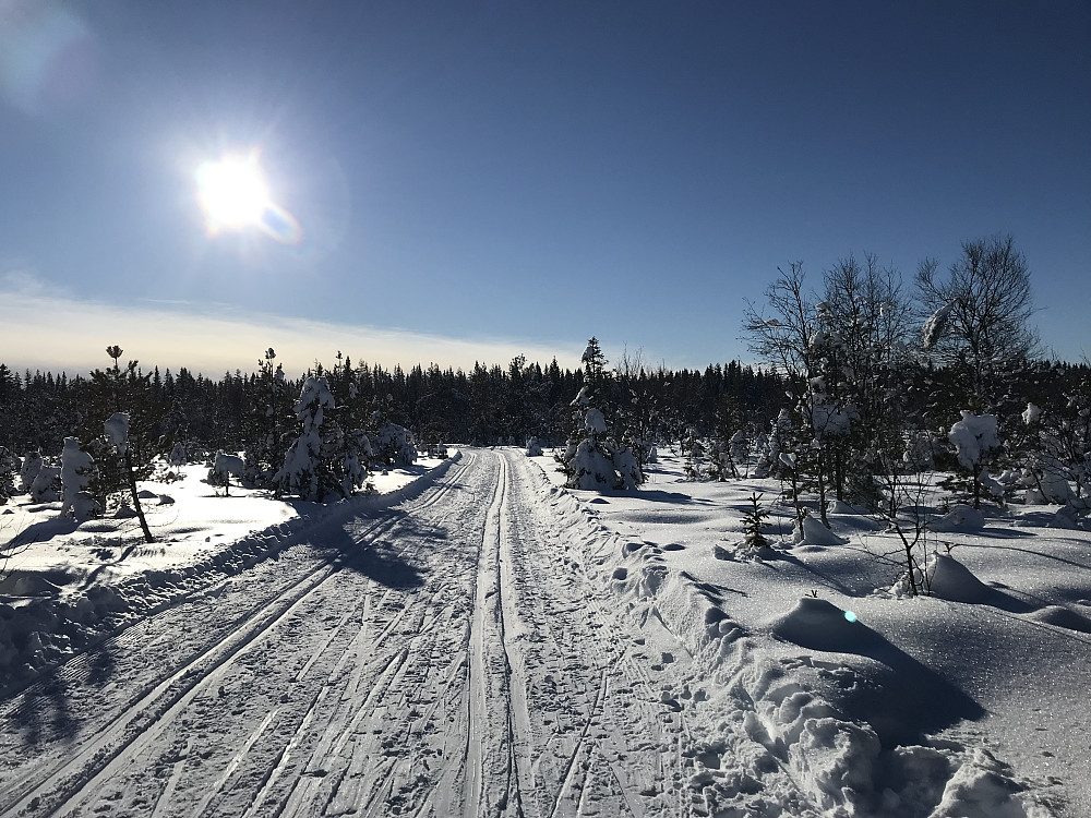 Fint på Haugrunden i dag