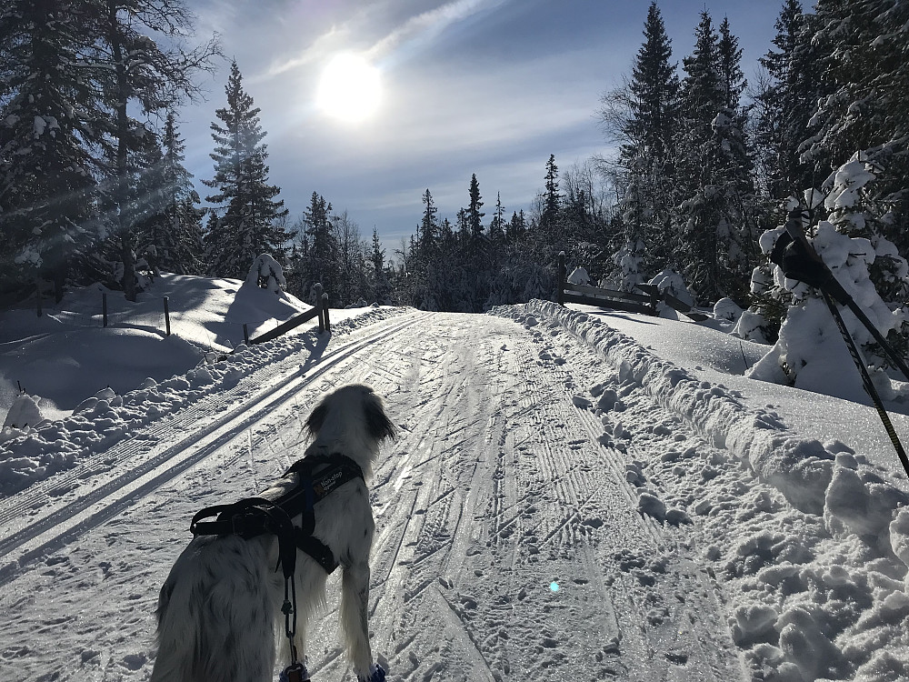 Fint i dag også