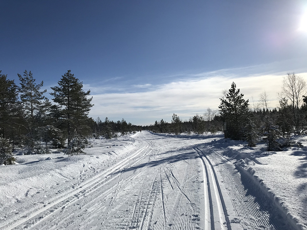 Rødgardsmyra