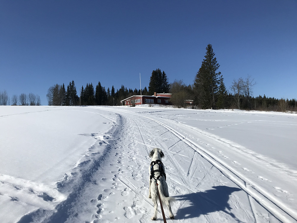 Skistua