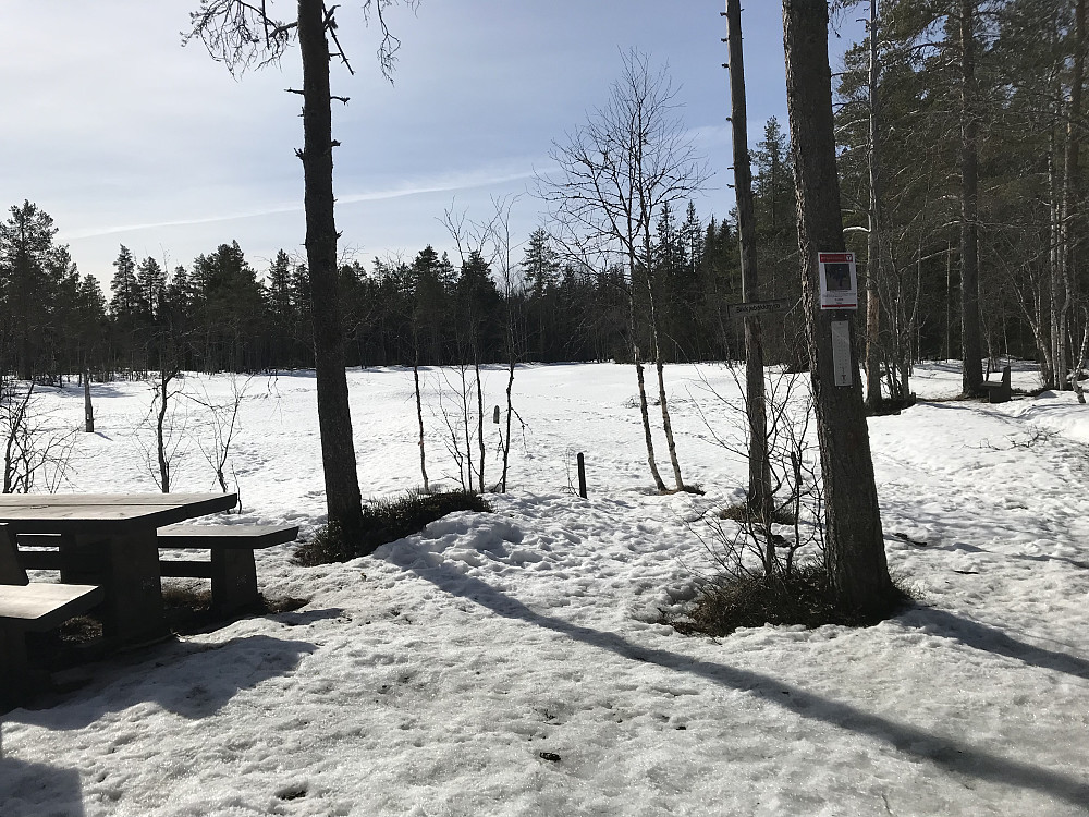 Bikkjebakkmyra