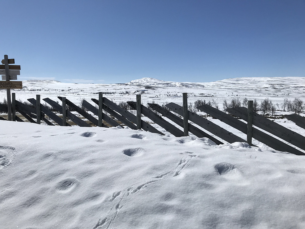 Nordbua
