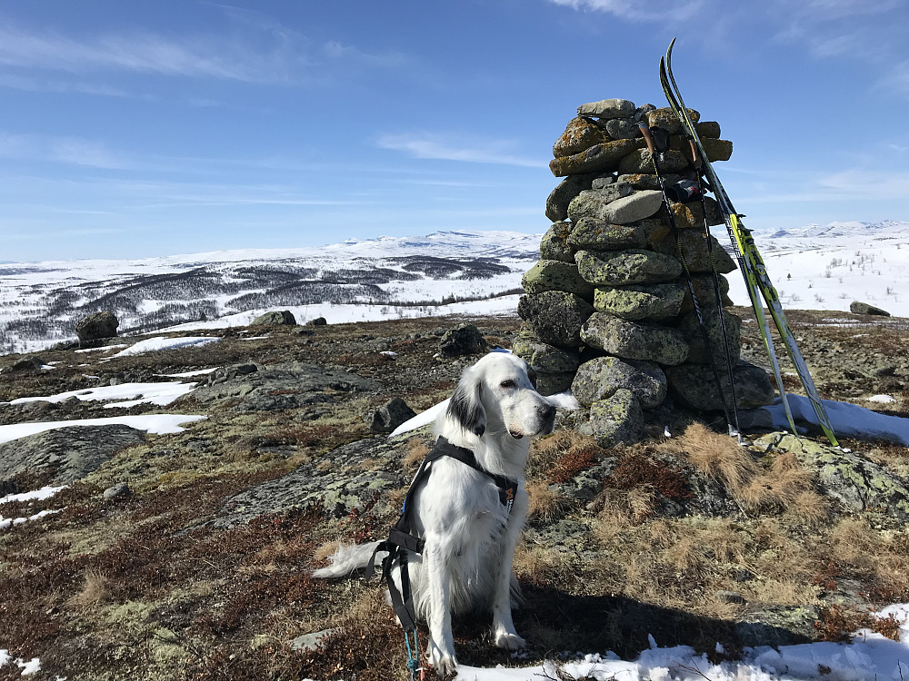 Vetafjellet sør